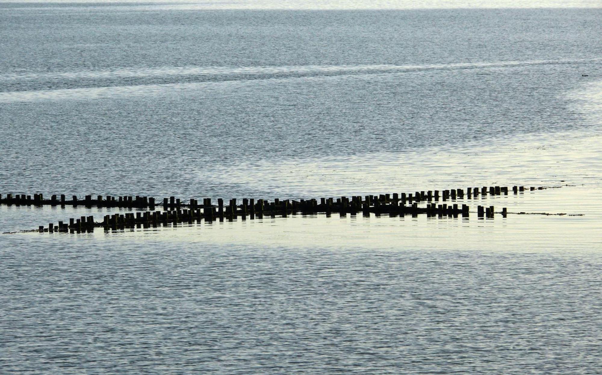 Haus Halligblick, Ferienwohnungen am Wattenmeer, Whg Langenneß Dagebüll Exterior foto